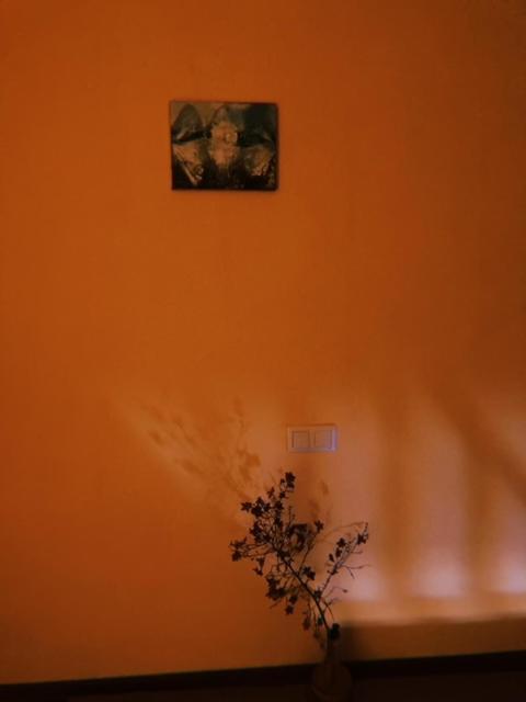 Home Away Home In Heart Of Tbilisi Exterior foto